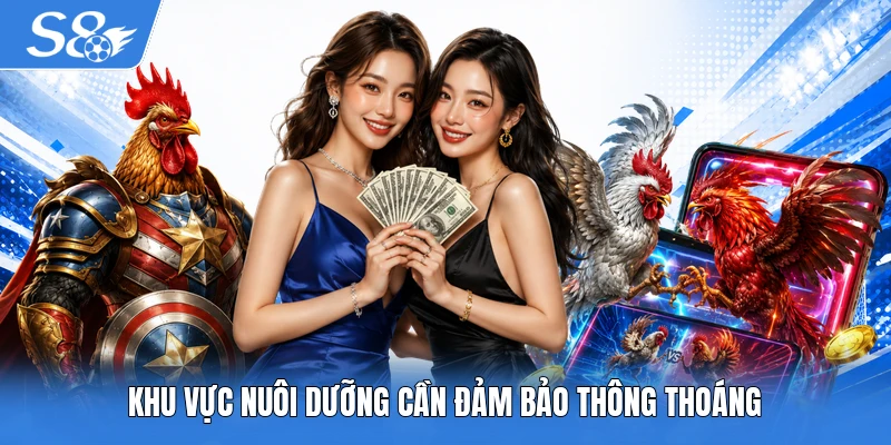 Khu vực nuôi dưỡng cần đảm bảo thông thoáng
