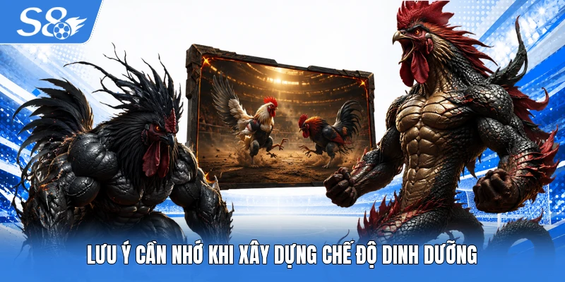 Lưu ý cần nhớ khi xây dựng chế độ dinh dưỡng