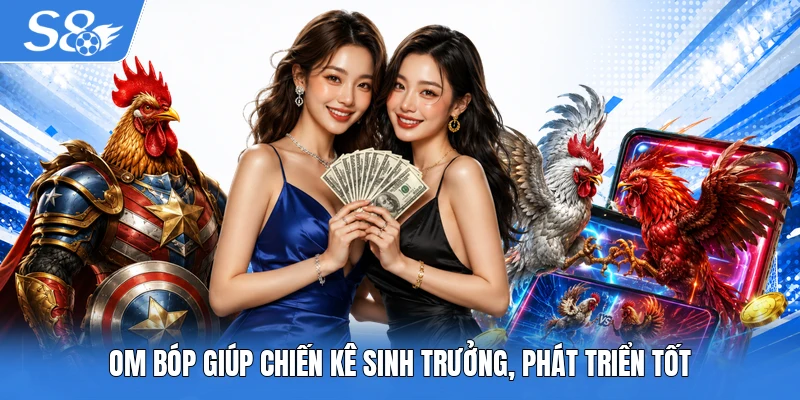 Om bóp giúp chiến kê sinh trưởng, phát triển tốt
