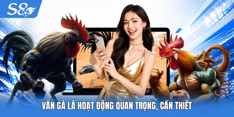 Vần gà là hoạt động quan trọng, cần thiết